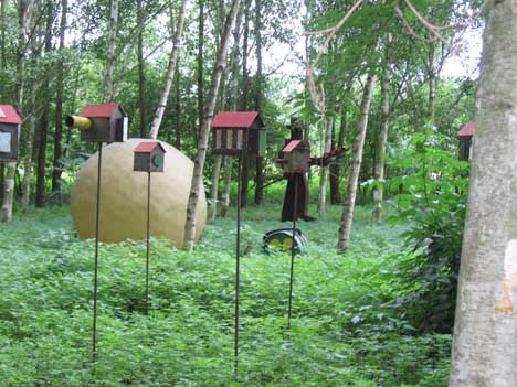 museumpark Insel Hombroich