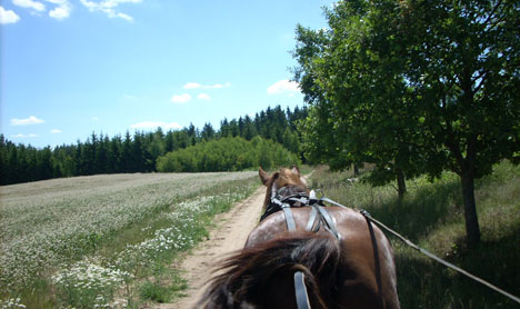 Polen